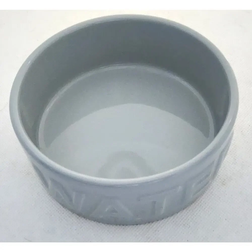 Pet Dish-Water-Park Life Designs-Gray-Holds 1 Cup Fluid-Embossed 